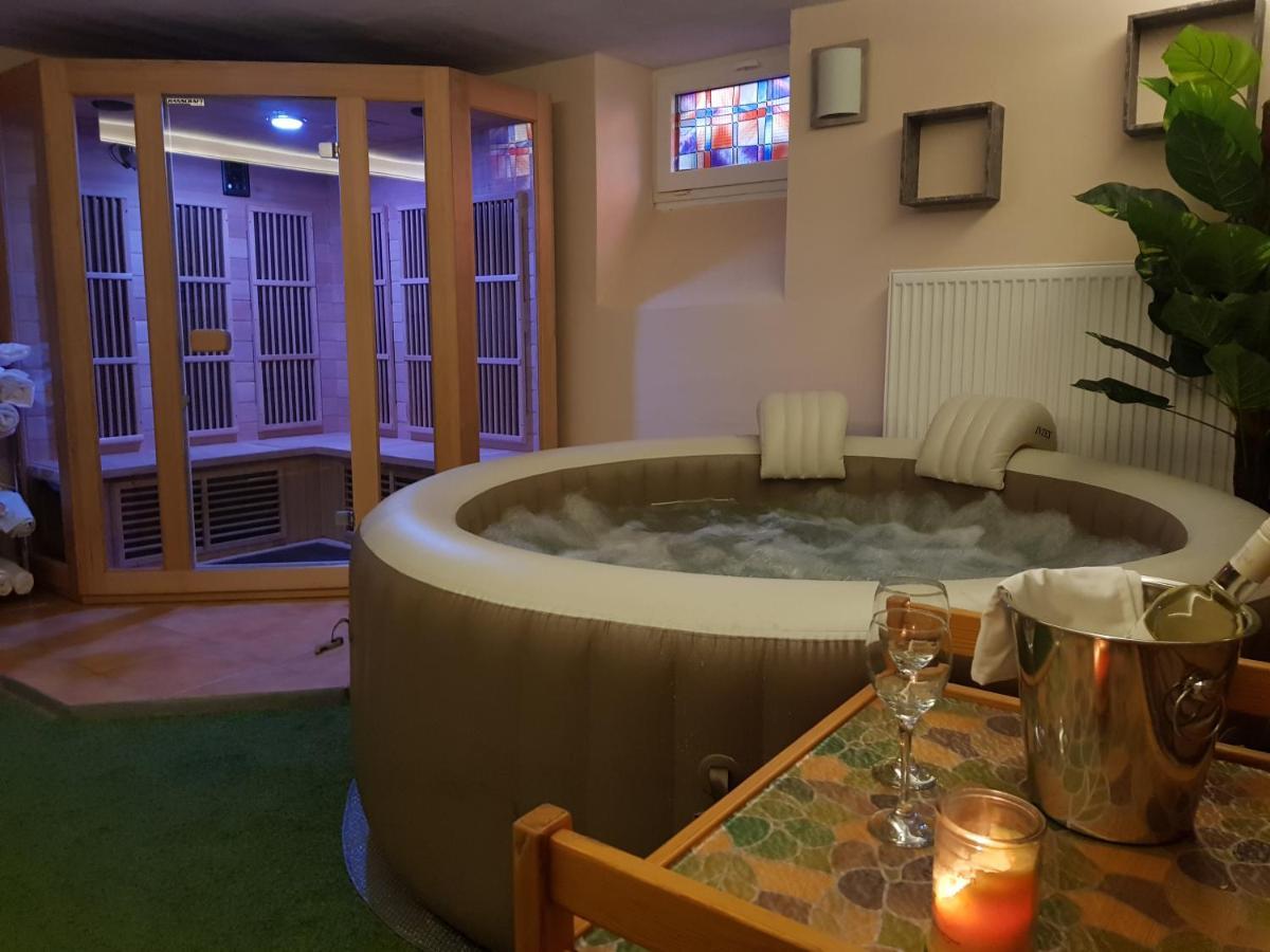 Vila Nejdek - Erzgebirge Aparthotel Bagian luar foto