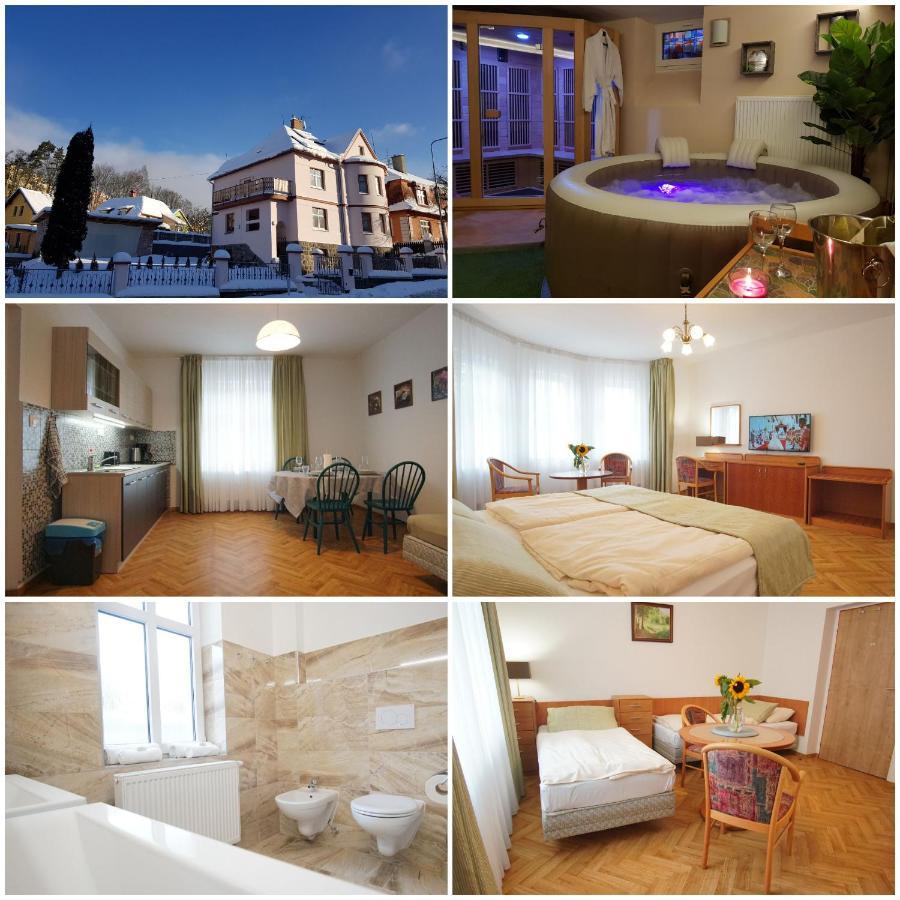 Vila Nejdek - Erzgebirge Aparthotel Bagian luar foto
