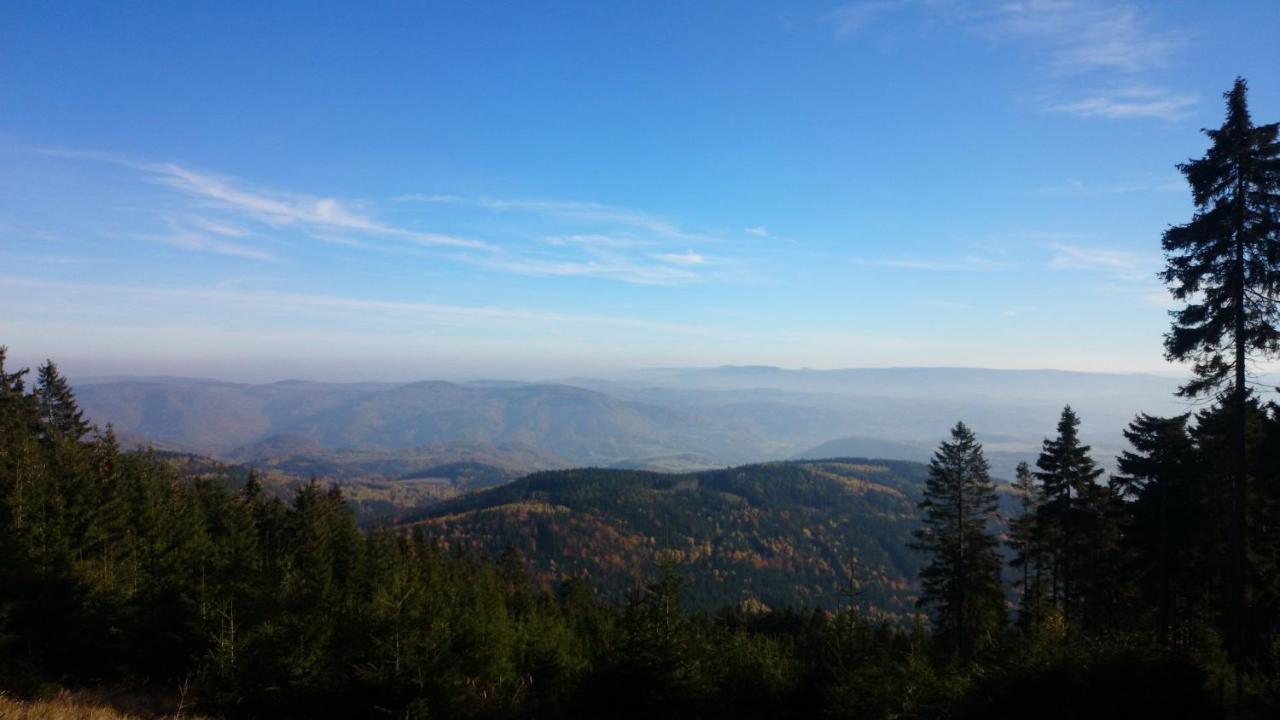 Vila Nejdek - Erzgebirge Aparthotel Bagian luar foto